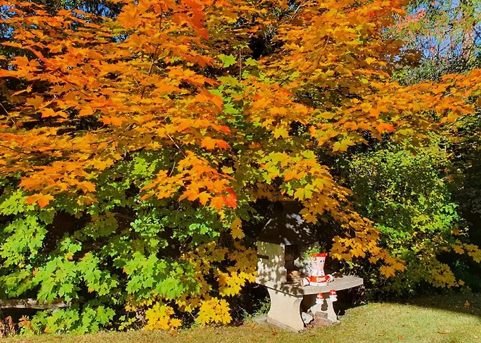 Hôtel 3 étoiles: Hôtel Splendide